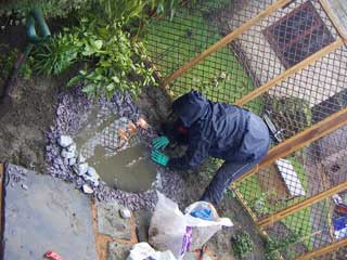 Alison makes the pond