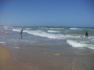 beach The nearest beach at La Marina village