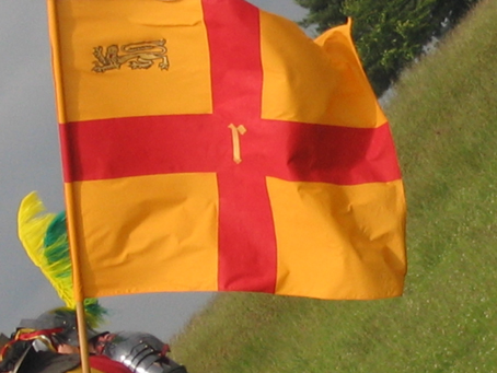 One of the battle flags