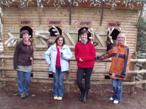 Centerparks 8 Reindeer