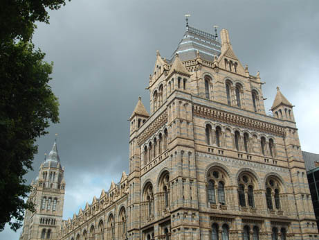 London  - NH Museum 1