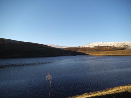 Dec walk with Ellie 1