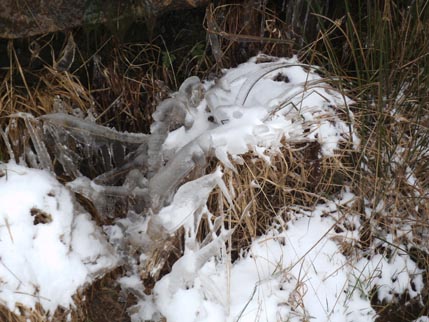 Snow walk Jan 1