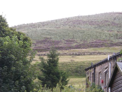 Houseaversary - heather