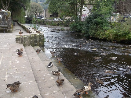 Hebden Bridge - river