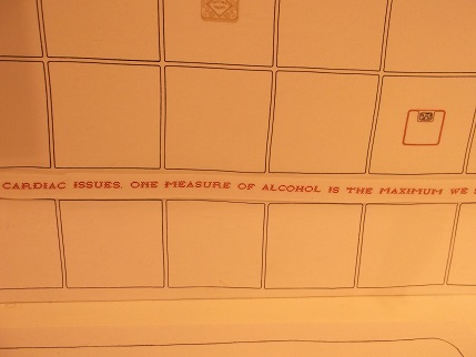 Harrogate 2014 Caren's work 6