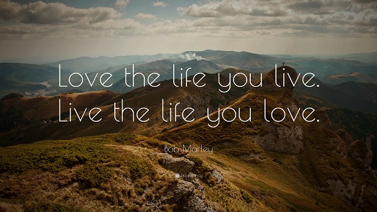 Love the life you live quote-small