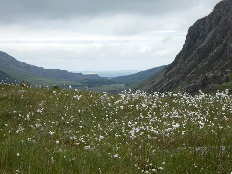 Cwm Idwal 2