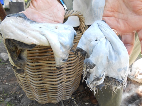 Tatton - Sian with rabbit skin 2