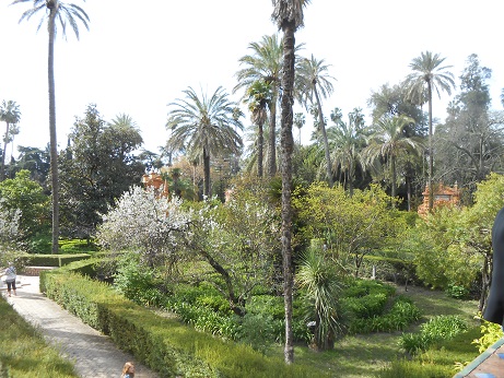 Seville Alcazar gardens 3