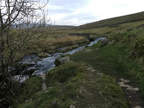 Dales waterfalls 4