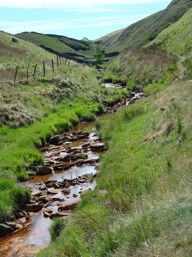 Marsden Beach walk 23
