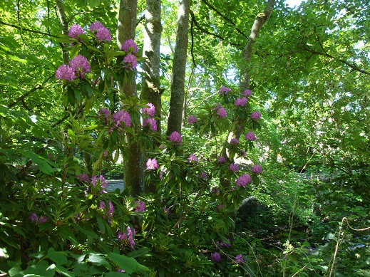 Marsden Beach walk 7