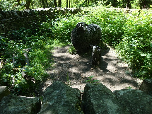 Marsden Beach walk 9