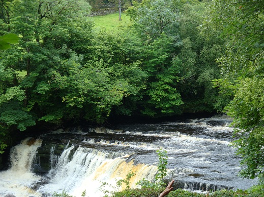 Dales waterfalls 34
